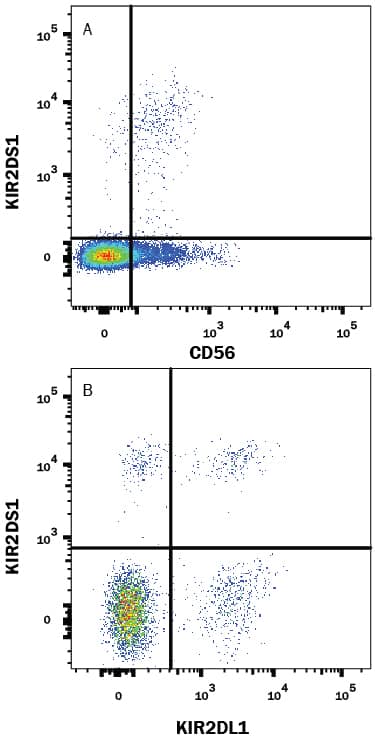 Detection of KIR2DS1/CD158h antibody in Human PBMCs antibody by Flow Cytometry.