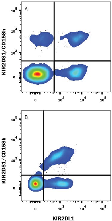 Detection of KIR2DS1/CD158h antibody in Human PBMCs antibody by Flow Cytometry.