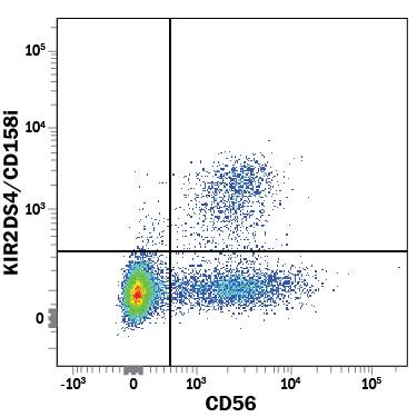 Detection of KIR2DS4/CD158i antibody in Human PBMCs antibody by Flow Cytometry.