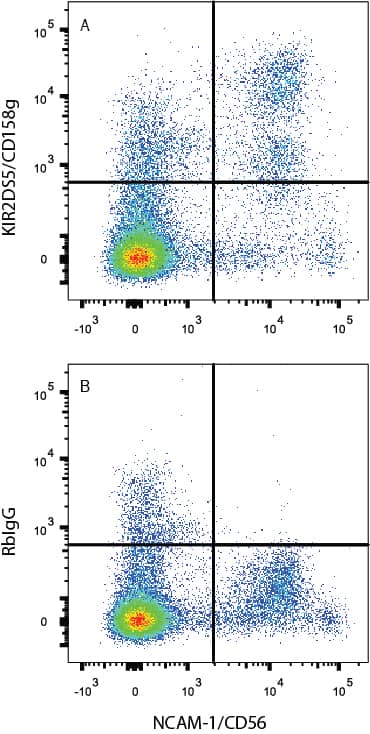 Detection of KIR2DS5/CD158g antibody in Human PBMCs antibody by Flow Cytometry.