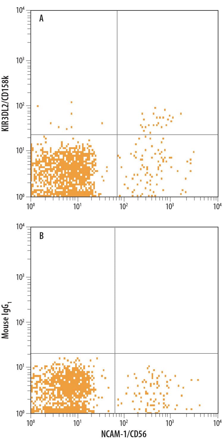 Detection of KIR3DL2/CD158k antibody in Human Blood Lymphocytes antibody by Flow Cytometry.