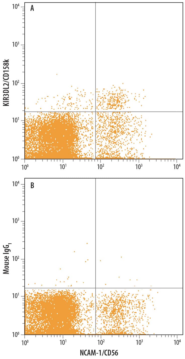 Detection of KIR3DL2/CD158k antibody in Human Blood Lymphocytes antibody by Flow Cytometry.