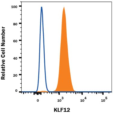 Detection of KLF12 antibody in MG-63 Human Cell Line antibody by Flow Cytometry.