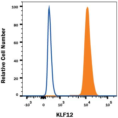 Detection of KLF12 antibody in MG-63 Human Cell Line antibody by Flow Cytometry.