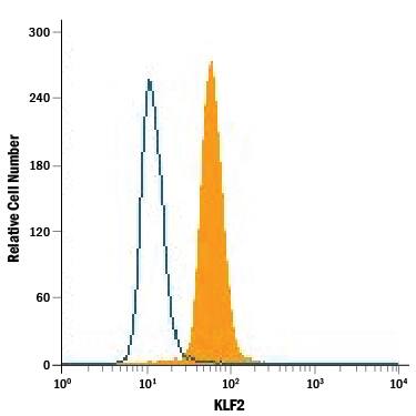 Detection of KLF2 antibody in BG01V Human Cells antibody by Flow Cytometry.