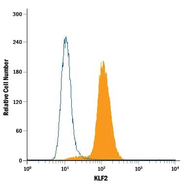 Detection of KLF2 antibody in BG01V Human Cells antibody by Flow Cytometry.