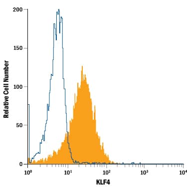 Detection of KLF4 antibody in BG01V Human Cells antibody by Flow Cytometry.