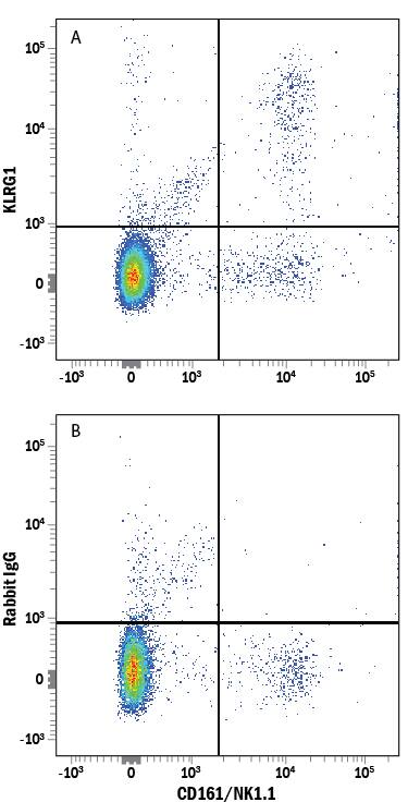 Detection of KLRG1 antibody in Mouse Splenocytes antibody by Flow Cytometry.