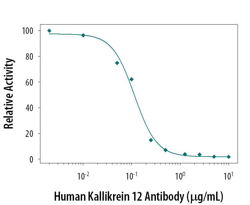 Neutralization of Kallikrein 12 Activity by Human Kallikrein 12 Antibody.