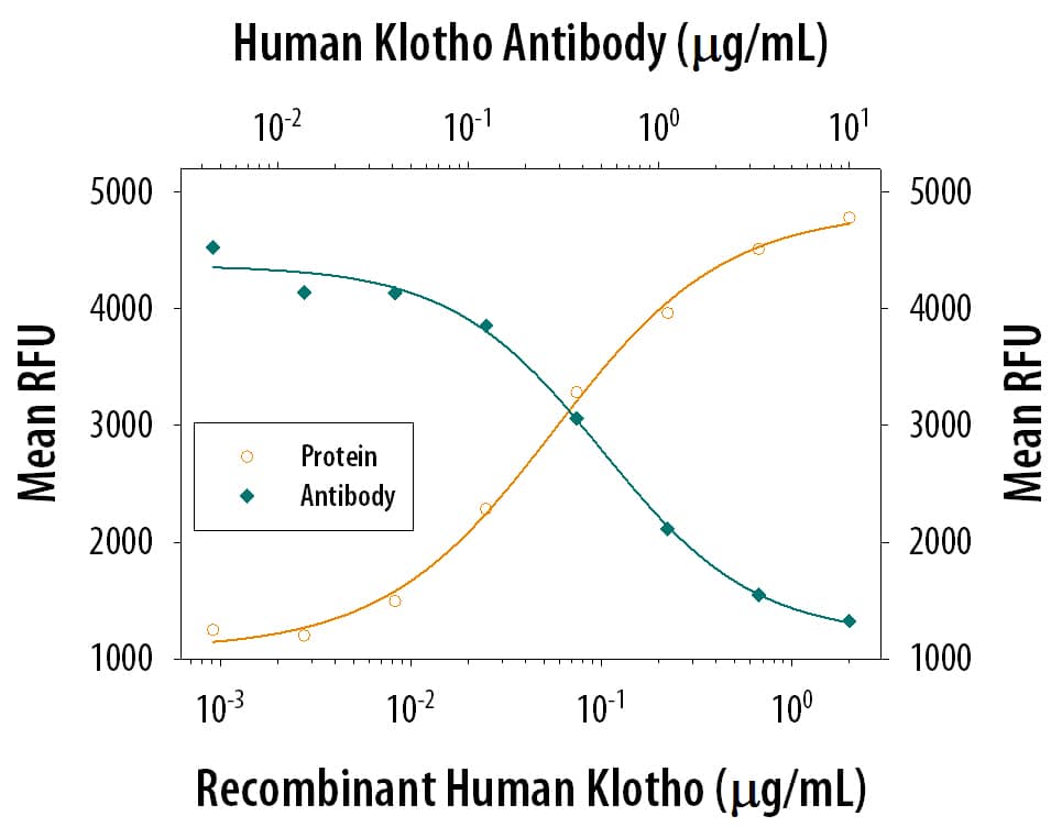 Cell Proliferation Induced by Klotho and Neutralization by Human Klotho Antibody.