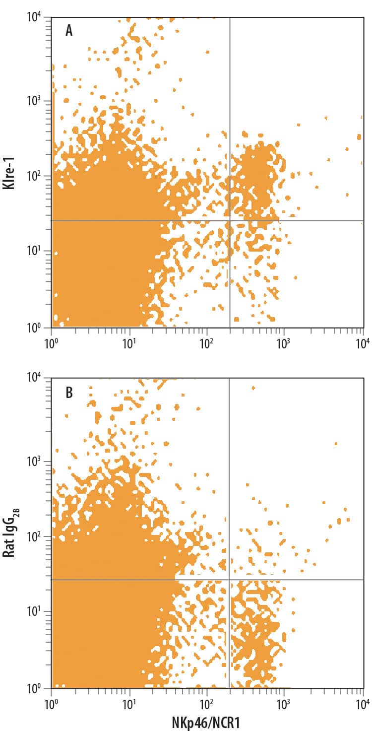 Detection of Klre-1 antibody in Mouse Splenocytes antibody by Flow Cytometry.