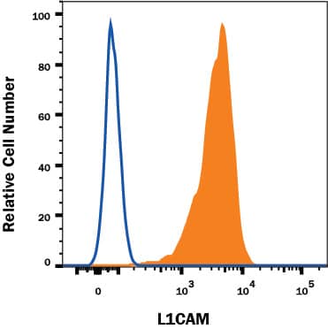 Detection of L1CAM antibody in HeLa human cell line.