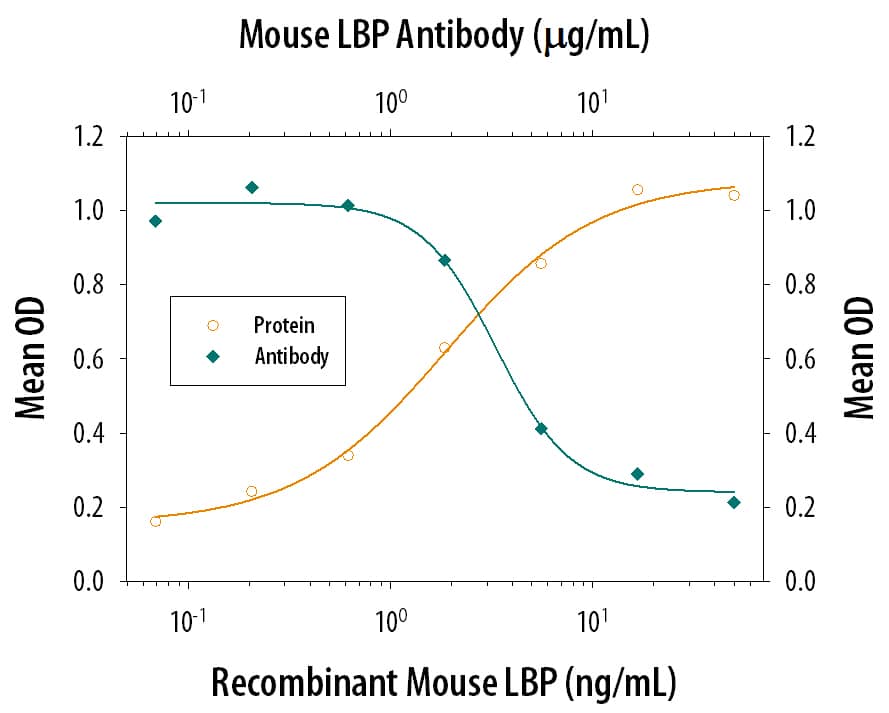 Cell Il-8 Secretion Induced by LBP and Neutralization by Mouse LBP Antibody.