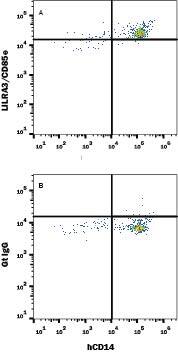 Detection of LILRA3/CD85e antibody in Human Blood Monocytes antibody by Flow Cytometry.