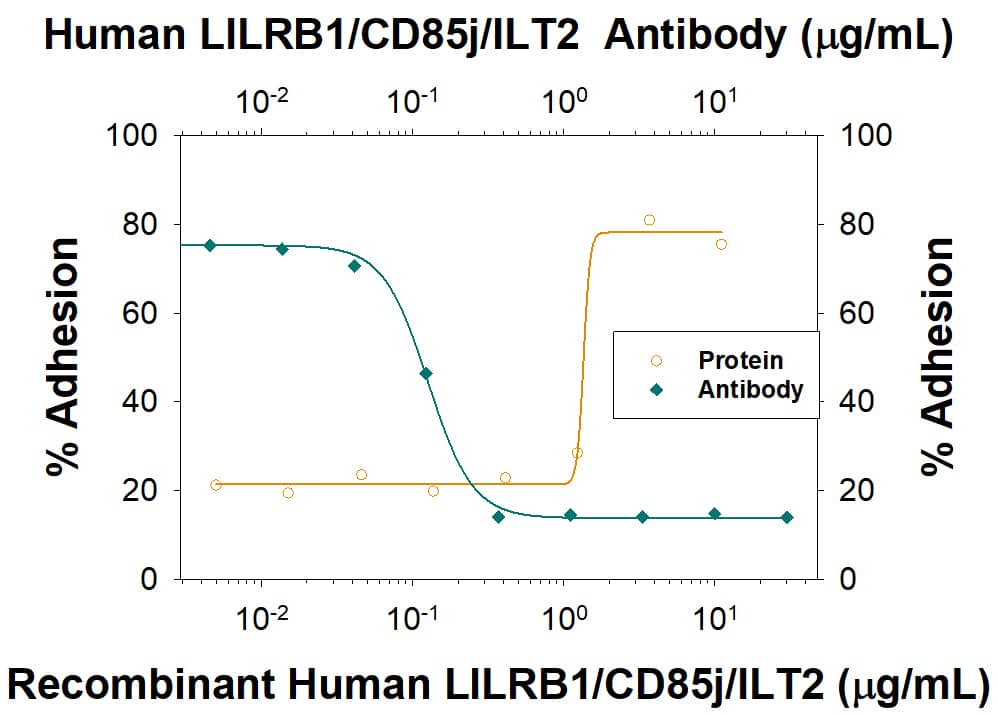 Cell Adhesion Mediated by LILRB1/CD85j/ILT2 and Neutralization by Human LILRB1/CD85j/ILT2 Antibody.