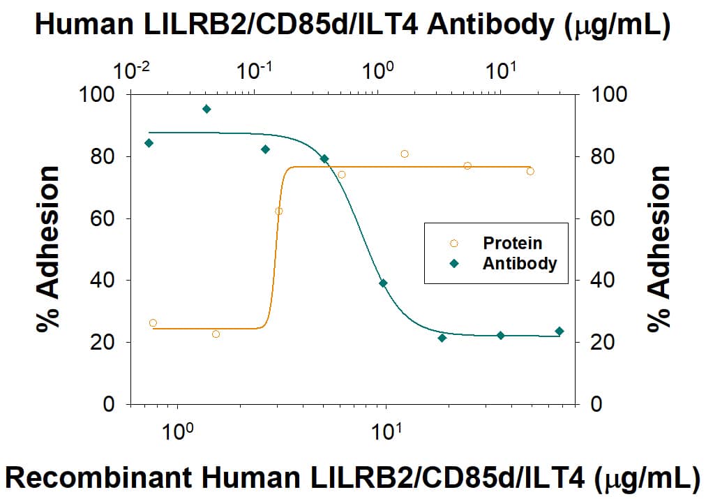 Cell Adhesion Mediated by LILRB2/CD85d/ILT4 and Neutralization by Human LILRB2/CD85d/ILT4 Antibody.