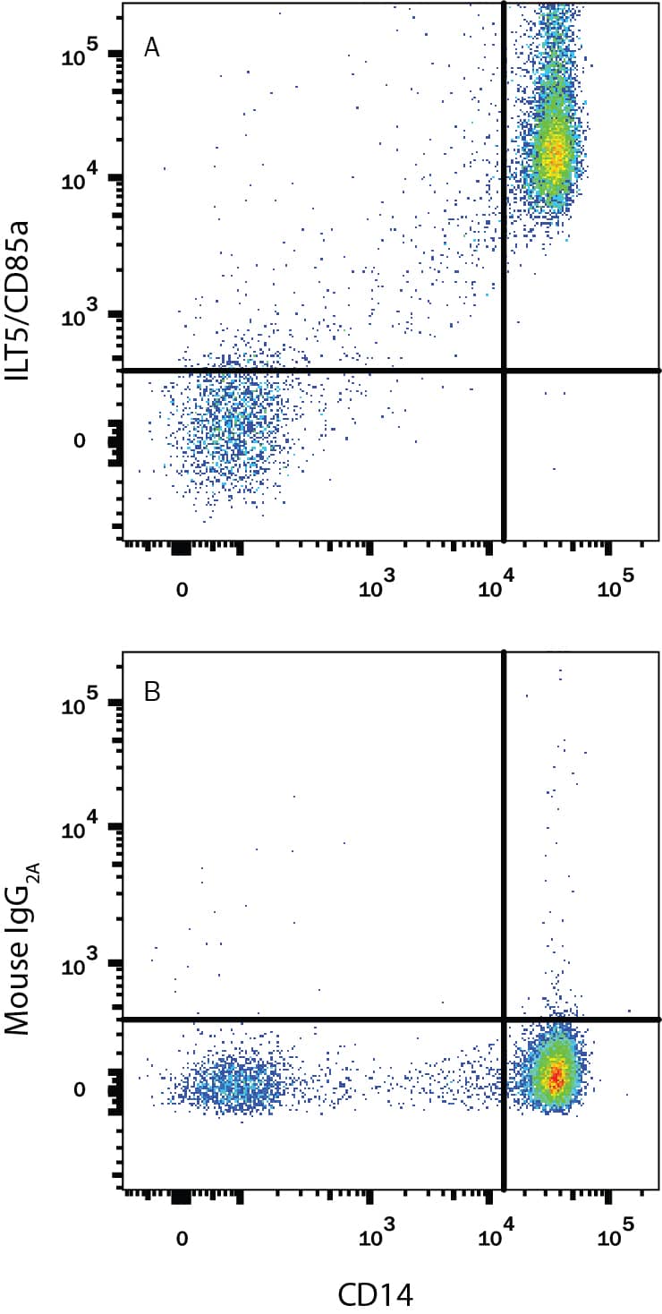 Detection of LILRB3/CD85a/ILT5 antibody in Human PBMCs antibody by Flow Cytometry.