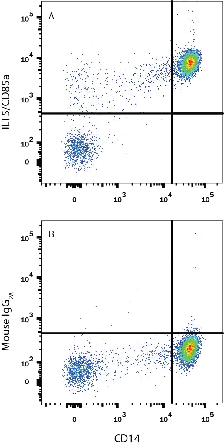 Detection of LILRB3/CD85a/ILT5 antibody in Human PBMCs antibody by Flow Cytometry.