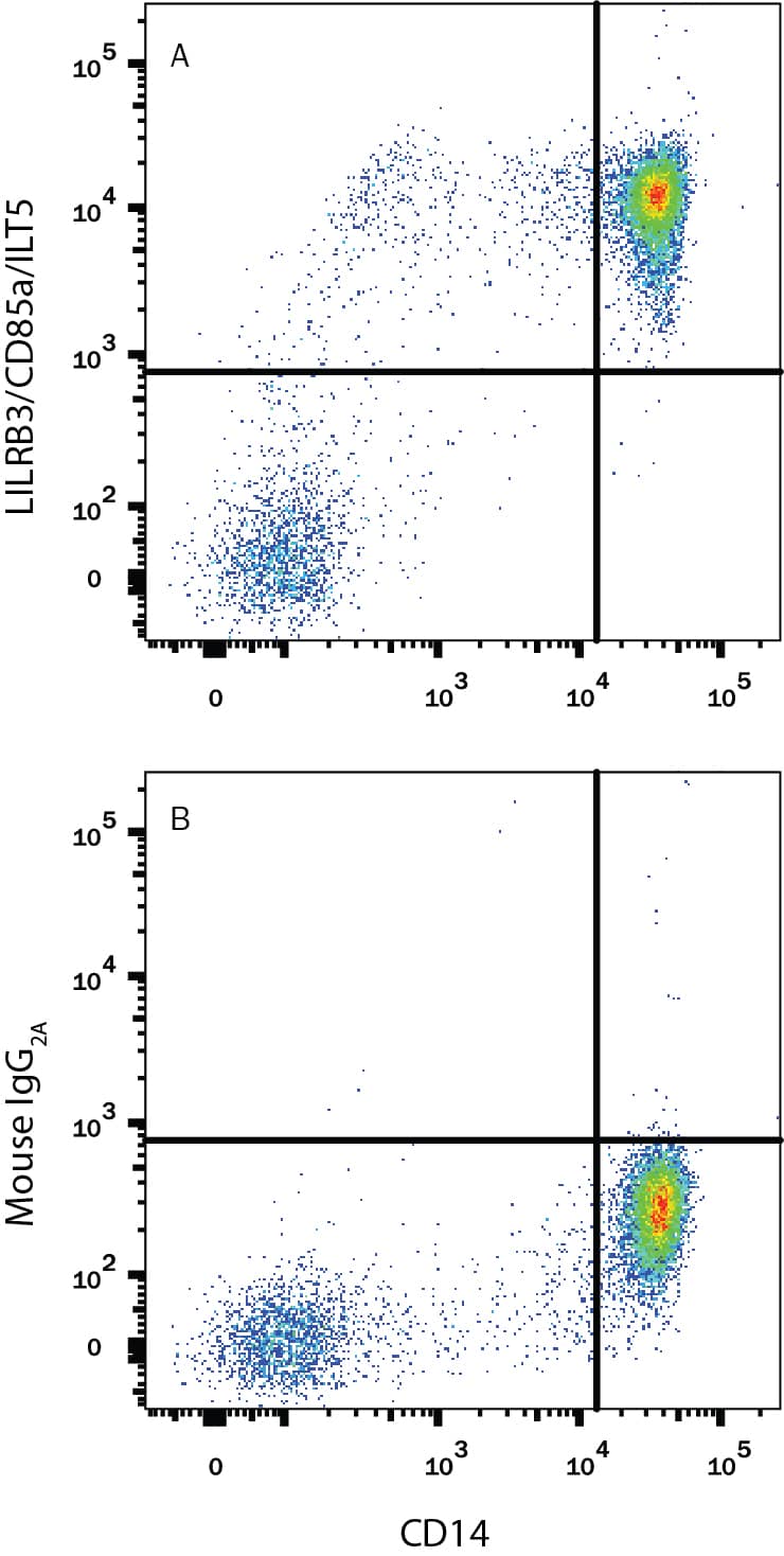 Detection of LILRB3/CD85a/ILT5 antibody in Human PBMCs antibody by Flow Cytometry.