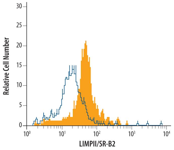 Detection of LIMPII/SR-B2 antibody in Mouse Splenocytes antibody by Flow Cytometry.