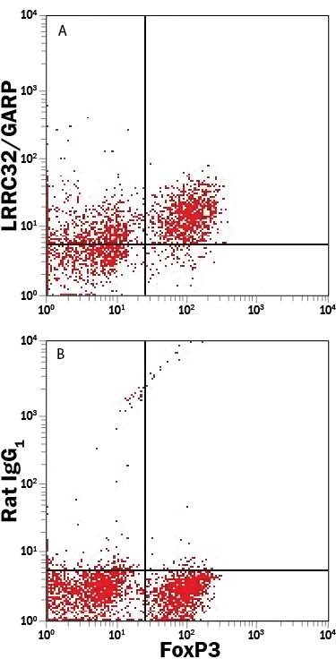 Detection of LRRC32/GARP antibody in Mouse Splenocytes antibody by Flow Cytometry.