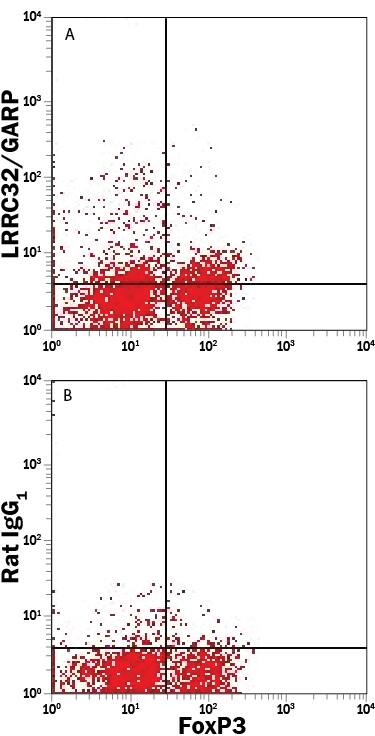 Detection of LRRC32/GARP antibody in Mouse Splenocytes antibody by Flow Cytometry.