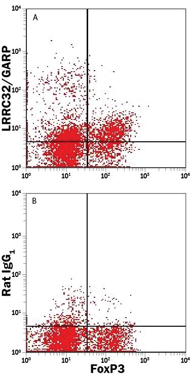 Detection of LRRC32/GARP antibody in Mouse Splenocytes antibody by Flow Cytometry.