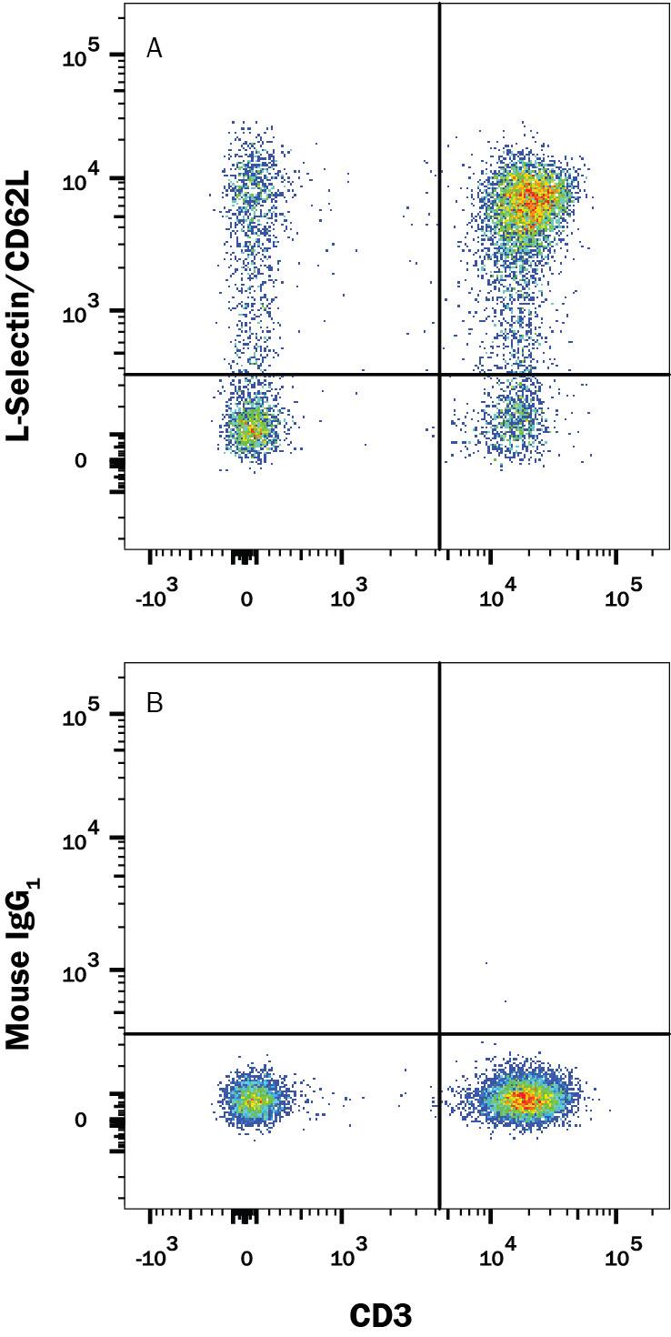 Detection of L-Selectin/CD62L antibody in Human PBMCs antibody by Flow Cytometry.