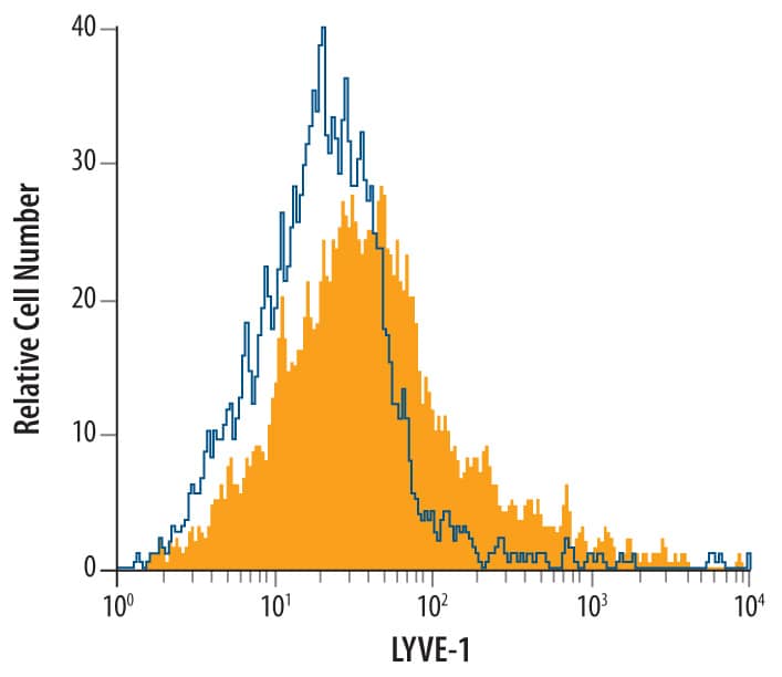 Detection of LYVE-1 antibody in bEnd.3 Mouse Cell Line antibody by Flow Cytometry.