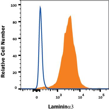 Detection of Laminin a3/Laminin-5 antibody in U2OS Human Cell Line antibody by Flow Cytometry.