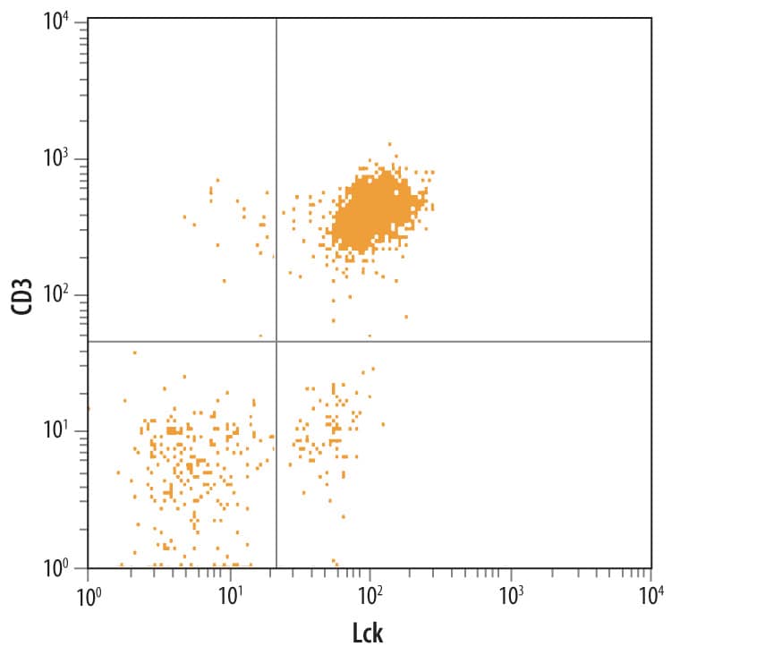 Detection of Lck antibody in Human Blood Lymphocytes antibody by Flow Cytometry.