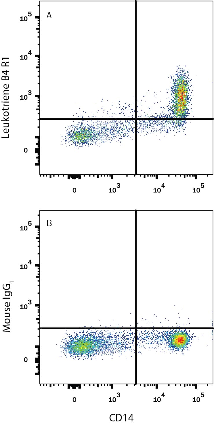 Detection of Leukotriene B4 R1 antibody in Human Blood Monocytes antibody by Flow Cytometry.