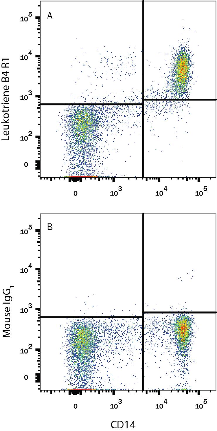 Detection of Leukotriene B4 R1 antibody in Human Blood Monocytes antibody by Flow Cytometry.