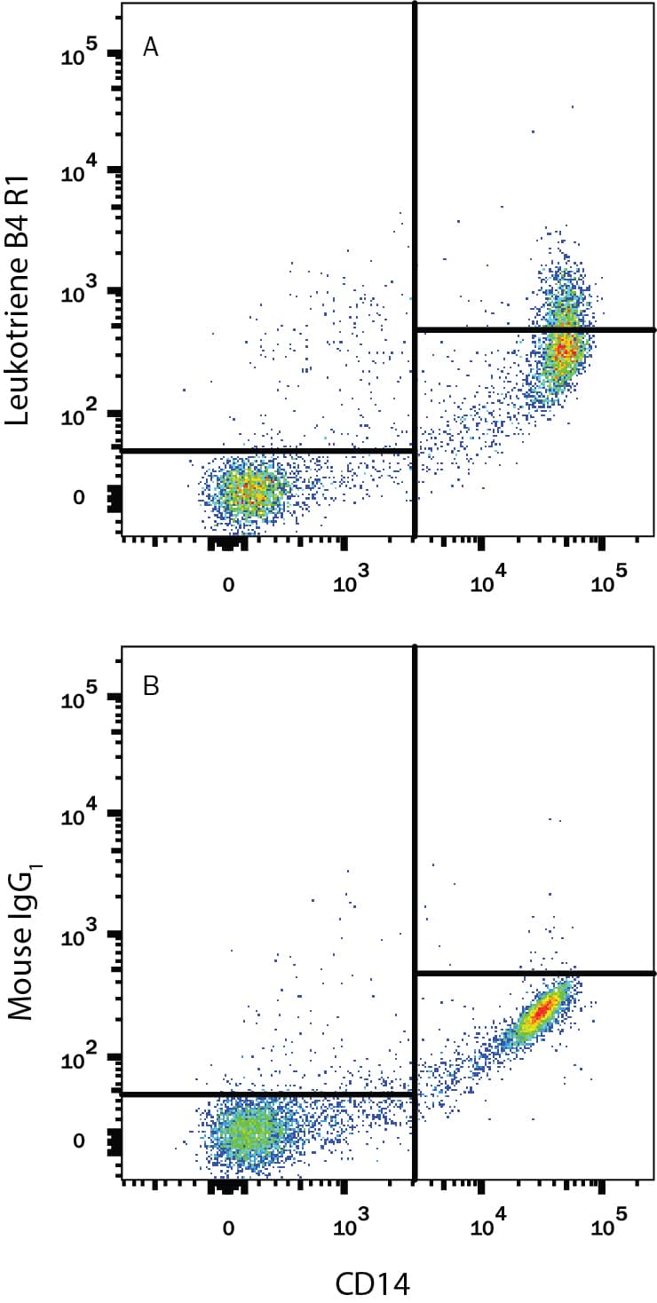 Detection of Leukotriene B4 R1 antibody in Human Blood Monocytes antibody by Flow Cytometry.