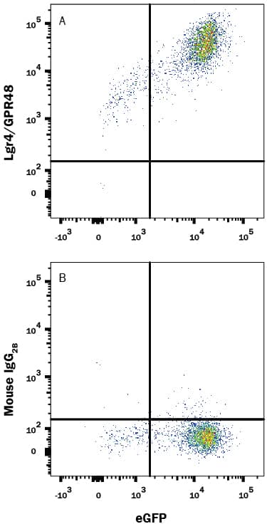 Detection of Lgr4/GPR48 antibody in HEK293 Human Cell Line Transfected with Human Lgr4/GPR48 and eGFP antibody by Flow Cytometry.