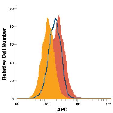 R-Spondin 4 Binding to Lgr4/GPR48-transfected HEK293 Human Cell Line is Blocked by Human Lgr4/GPR48 Antibody.
