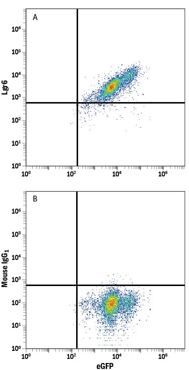 Detection of Lgr6 antibody in HEK293 Human Cell Line Transfected with Human Lgr6 and eGFP antibody by Flow Cytometry.