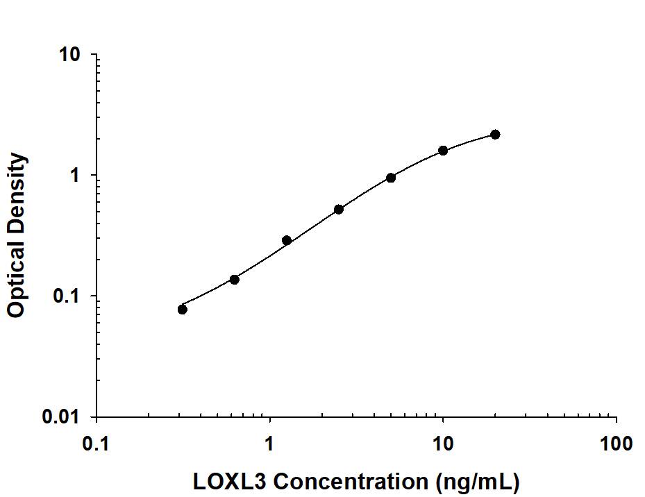 Human Lysyl Oxidase Homolog 3/LOXL3 Antibody in ELISA Standard Curve.