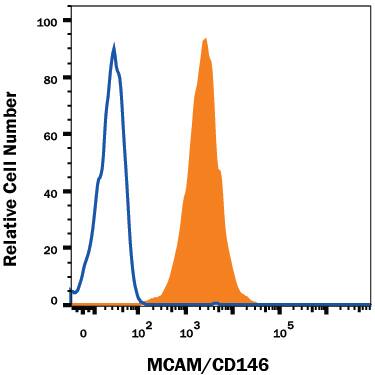 Detection of MCAM/CD146 antibody in PC-12 Rat Cell Line antibody by Flow Cytometry.