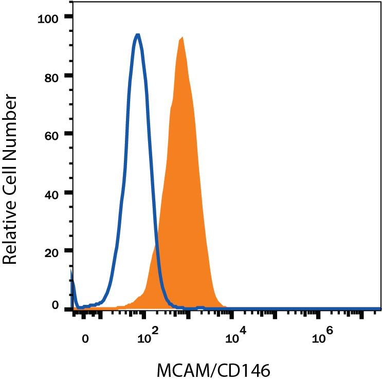 Detection of MCAM/CD146 antibody in PC-12 Rat Cell Line antibody by Flow Cytometry.