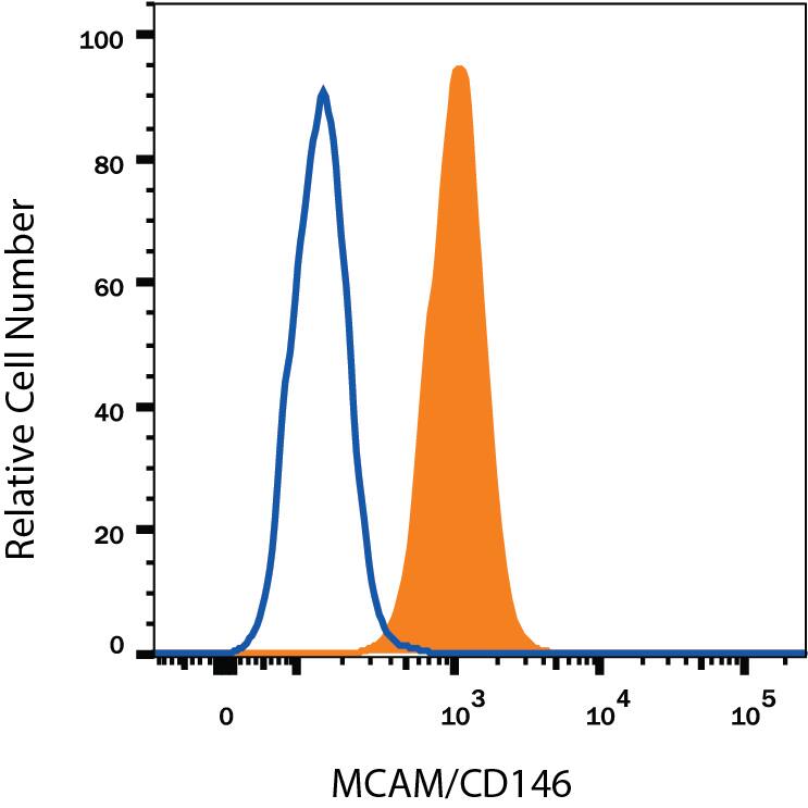 Detection of MCAM/CD146 antibody in PC-12 Rat Cell Line antibody by Flow Cytometry.