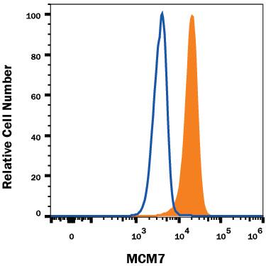 Detection of MCM7 antibody in HeLa Human Cell Line antibody by Flow Cytometry.