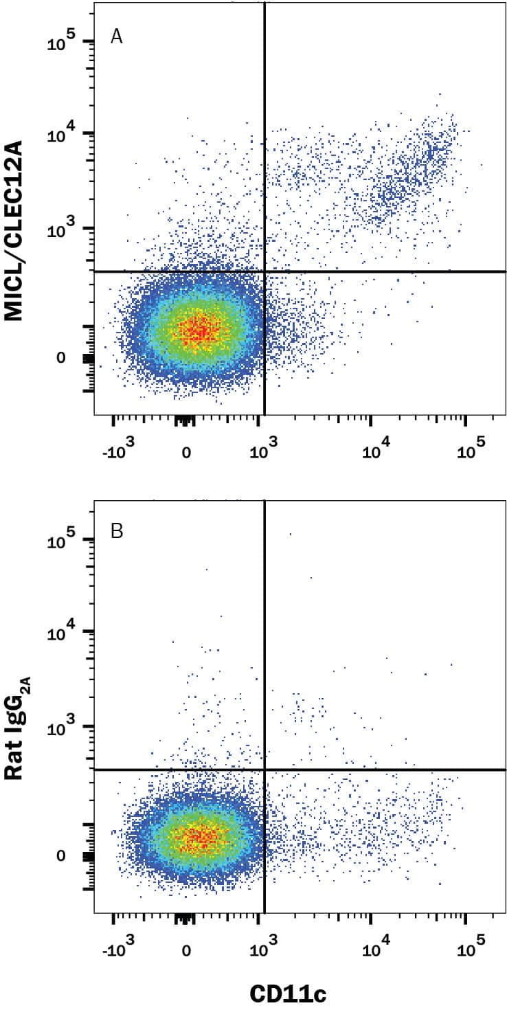 Detection of MICL/CLEC12A antibody in Mouse Splenocytes antibody by Flow Cytometry.