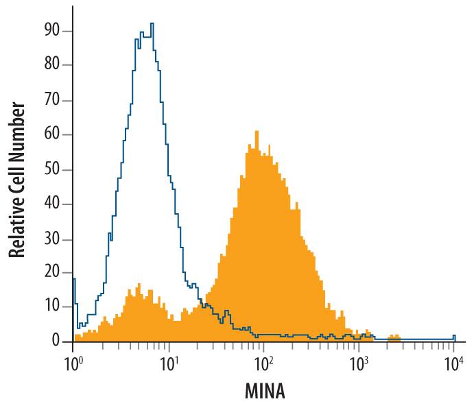 Detection of MINA antibody in Jurkat Human Cell Line antibody by Flow Cytometry.