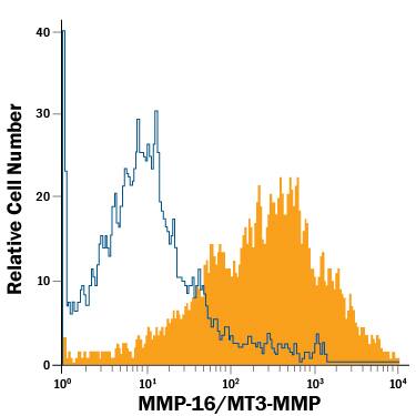 Detection of MMP-16/MT3-MMP antibody in PC-3 Human Cell Line antibody by Flow Cytometry.
