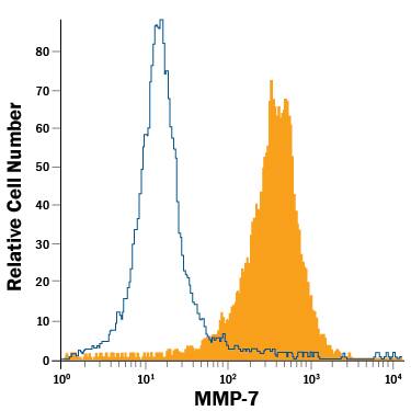 Detection of MMP-7 antibody in bEnd.3 Mouse Cell Line antibody by Flow Cytometry.