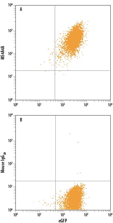 Detection of MS4A4A antibody in HEK293 Human Cell Line antibody by Flow Cytometry.