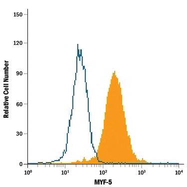 Detection of MYF-5 antibody in C2C12 Mouse Cell Line antibody by Flow Cytometry.