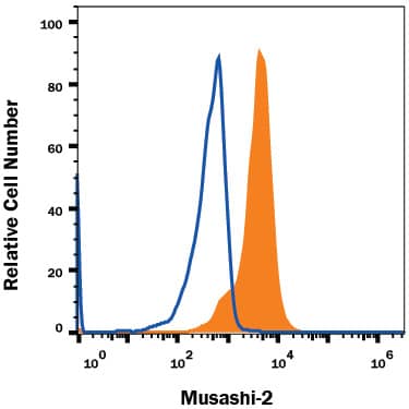 Detection of Musashi-2 antibody in Rat Cortical Stem Cells antibody by Flow Cytometry.