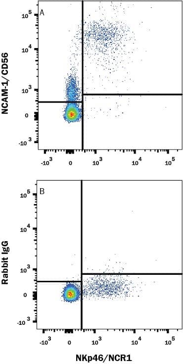 Detection of NCAM-1/CD56 antibody in Human Peripheral Blood antibody by Flow Cytometry.